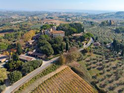 La Torre alle Tolfe: alla scoperta dell'olio novello